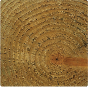 6x6 pressure treated