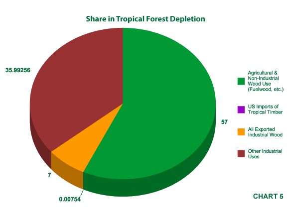 tropical timber concerns